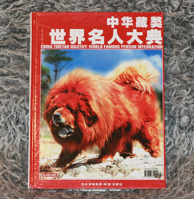 Tibetan Mastiff For Sale. China TIBETAN MASTIFF - world